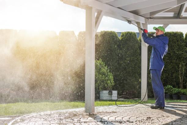 Best Winterizing Services  in Saint Johns University, MN